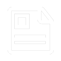 政務(wù)動態(tài)